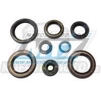 Gufera sada (simerinky celý motor) TM EN250+EN300 / 19-25 + MX250+MX300