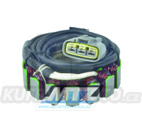 Stator Yamaha Raider XV19C / 08-17 + Roadliner XV19S / 06-12 + Stratliner XV19CTS / 06-13