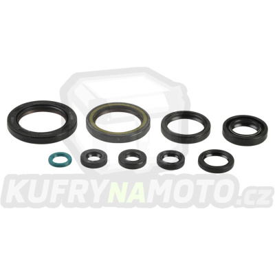 Sada gufer motoru ATHENA P400210400239
