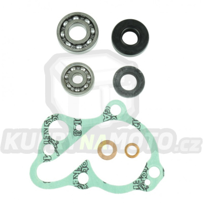 Těsnění vodní pumpy sada ATHENA P400210348085 + bearings