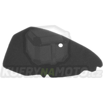 Vzduchový filtr NYPSO 100600461