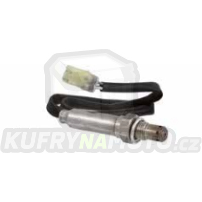 Sensor kyslíku RMS 100120610
