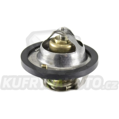 Termostat RMS 100120300