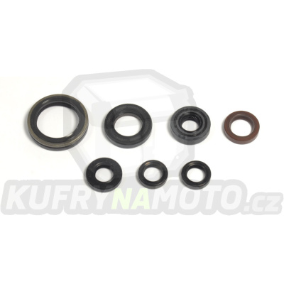 Sada gufer motoru ATHENA P400485400039