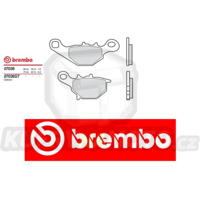 Brzdové destičky Brembo SUZUKI AN 125 r.v. Od 94 -  směs S T Přední