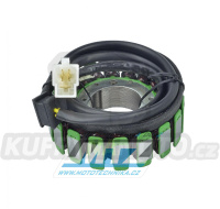 Stator Suzuki GS500 / 01-08 + GS500E / 01-08 + GS500F / 04-09