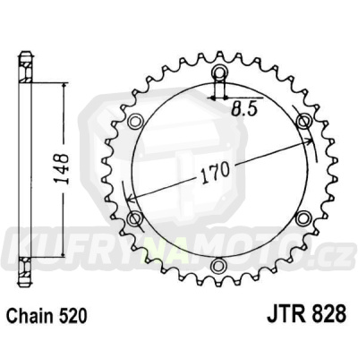 Řetězová rozeta JT JTR 828-42 42 zubů, 520