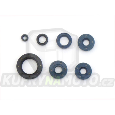 Sada gufer motoru ATHENA P400070400001