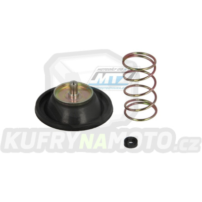 Sada akcelerační pumpičky karburátoru (Accelerator Pump) - Honda GL1200D Goldwing / 84-88
