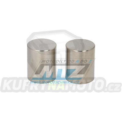 Pístek brzdového třmenu (do brzdiče) - sada 2 ks -  Kawasaki KX80+KX85+KL250 + KVF650+KFX700V-Force+KVF700Prairie + Suzuuki RM85+RM100+LTV-700F