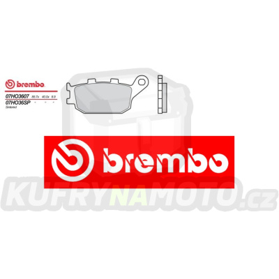 Brzdové destičky Brembo HONDA CBF ABS 1000 r.v. Od 06 -  Originál směs Zadní