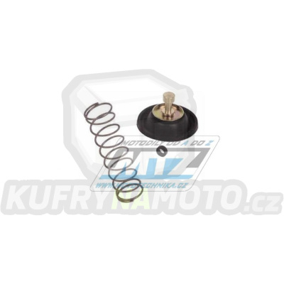 Sada akcelerační pumpičky karburátoru (Accelerator Pump) - Kawasaki Z1300A / 79-83
