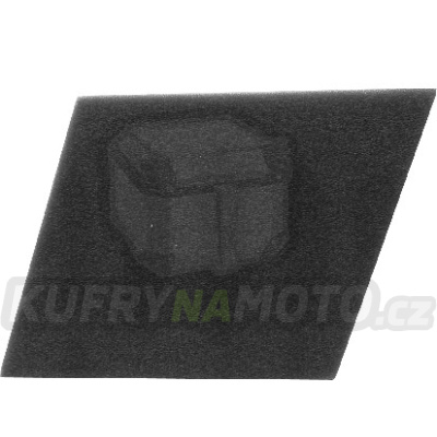 Vzduchový filtr NYPSO 100600861