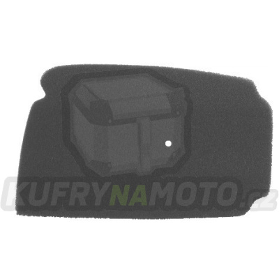 Vzduchový filtr NYPSO 100600171