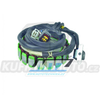 Stator Suzuki DR650 / 96-21 + DR650SE + XF650 Freewind / 97-01