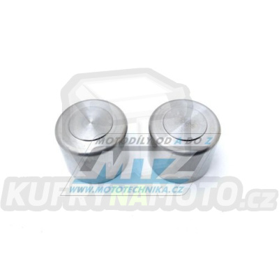 Pístek brzdového třmenu (do brzdiče) - sada 2ks - průměr 22mm - KTM 85SX / 18-20 + Freeride 250F / 18-20 + Husqvarna TC85 / 18-20