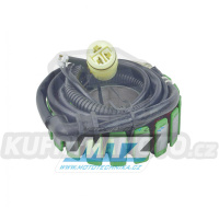 Stator Kawasaki ZX12R Ninja / 02-03 + ZX-12R Ninja + ZX1200