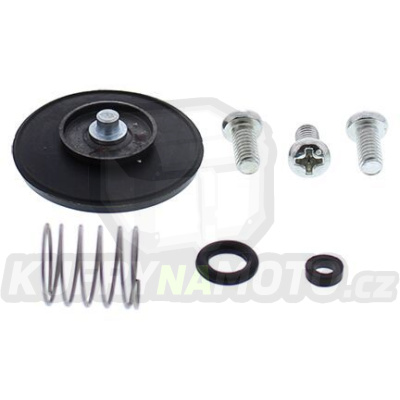 Opravná sada pumpy akcelerátoru All Balls Racing AP46-3005