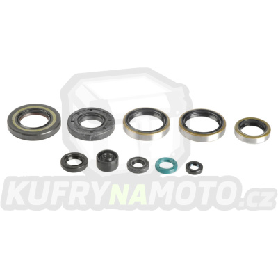 Sada gufer motoru ATHENA P400250400021