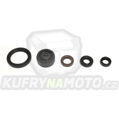 Sada gufer motoru ATHENA P400485400154
