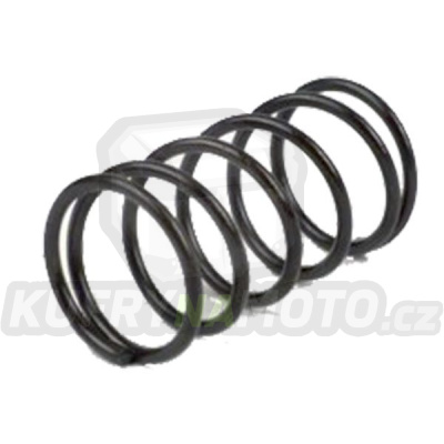 Pin spring cover RMS 121890120