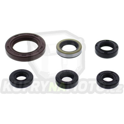 Sada gufer motoru WINDEROSA EOSK 822973