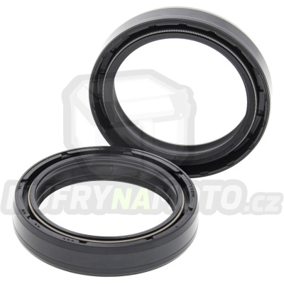 Gufera přední vidlice All Balls Racing FS55-135 45x58x11