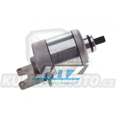Startér kompletní - Piaggio 125 + 250 + X7+X8+X9 + XEvo+MP3 + Beverly + Carnaby + Aprilia SR + Derbi Rambla + Gilera Nexus + Vespa GTS