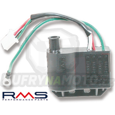 Zapalovací cívka RMS 246010030