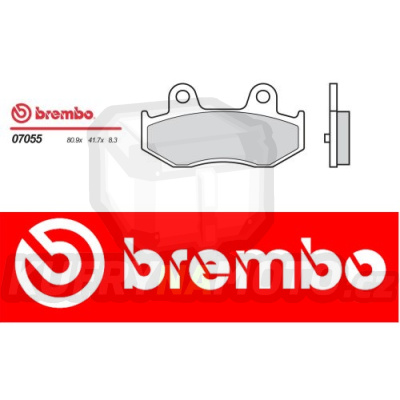 Brzdové destičky Brembo SUZUKI BURGMAN 250 r.v. Od 04 - 06 XS směs Zadní