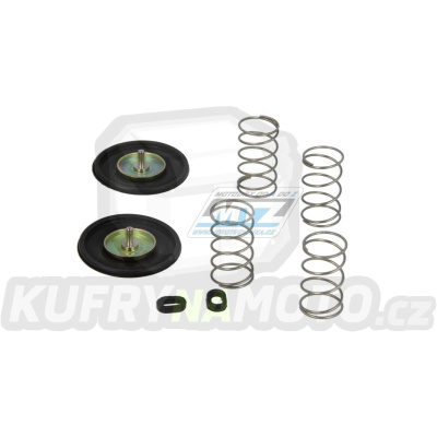 Sada akcelerační pumpičky karburátoru (Accelerator Pump) - Honda VT1100C Shadow / 88-96 + VT1100 Shadow