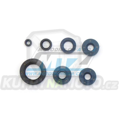 Gufera sada (simerinky celý motor) - BMW F650+F650GS+F650ST + G650 + Bombardier DS650