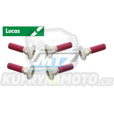 Šrouby brzdového kotouče M8x30 (sada 5ks) - Kawasaki ZR550+ZR750+ZR1100+ZRX1100+ZRX400+ZRX1200+GPZ900+GPZ1100+GTR1000+GTR1400+VN1500+VN1600+W800 + ZL600+ZZR400+ZZR600+ZZR1100 + ZZR1200+ZZR1400+ER6N+ER6F+ZX12R+ZX6R+ZX10R+ZX7R+ZX9R