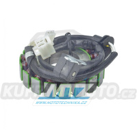 Stator Yamaha YZF600R Thunder Cat / 99-07