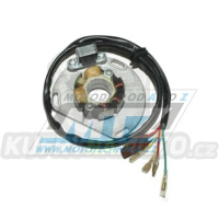 Stator generátoru zapalování (kompletní) - KTM 125SX + 125EXC + 200EXC + 200SX + 250EXC + 250SX + 300EXC + 360EXC + 360SX + 380EXC + 380MXC + 400SX + + Gas Gas EC125 + SM125 + EC200 + EC250 + SM250 + EC300