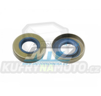 Gufero/Simerink motoru B1B - rozměry 17x35x8mm - Minarelli AM6