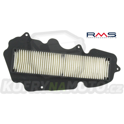 Vzduchový filtr RMS 100602820
