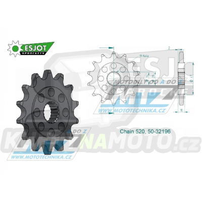 Kolečko řetězové (pastorek) 50-32196-13 zubů ESJOT 50-32196-13S - Zontes 125G1+125U / 21-23 + 125GK / 22-23