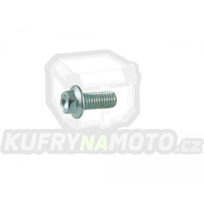 Šroub RTECH 8.8 M8X18MM 15PZ