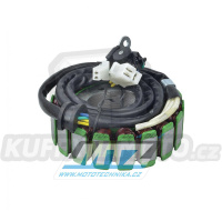 Stator Suzuki TL1000S / 97-02 + TL1000R / 98-03