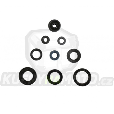 Sada gufer motoru ATHENA P400485400048