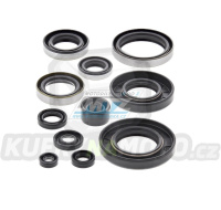 Gufera sada (simerinky celý motor) Kawasaki KX250 / 90-04