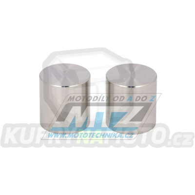Pístek brzdového třmenu (do brzdiče) - sada 2 ks - Honda CRF+CT125+Z125+MSX125 + NSC110+PCX150 + NT700V Deauville+VFR+CBF+CBR1+ST+GL1800 + TRX450 + Suzuki LTF+LTR + Yamaha YFM+YFZ