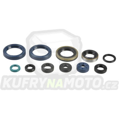 Sada gufer motoru ATHENA P400250400016