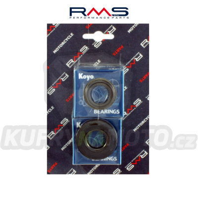 Servisní sada klikovky RMS 100200340