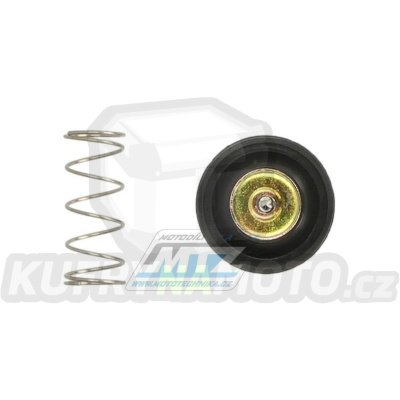 Sada akcelerační pumpičky karburátoru (Accelerator Pump) - Honda VT600 Shadow + VT600CD Shadow Deluxe / 00-07 + VT600C Shadow / 99-06 + VT600CD2 Shadow / 00-01 + VTX1300 / 03-07