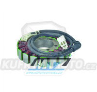 Stator Triumph Daytona T595 / 97-98 + Daytona / 99-00 + Speed Triple / 02-04 + Sprint RS+Sprint ST / 00-04
